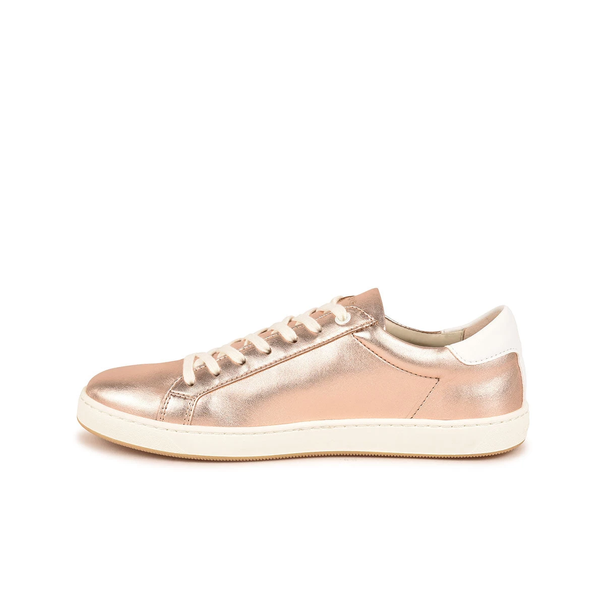 Pataugas ASTER/M F4H ROSE – Image 3